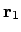 ${\bf r}_1$