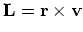 ${\bf L} = {\bf r}\times {\bf v}$