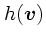 $h(\mbox{\boldmath$v$})$