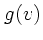 $\displaystyle g(v)$