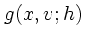 $g(x,v;h)$