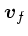 $\mbox{\boldmath$v$}_f$